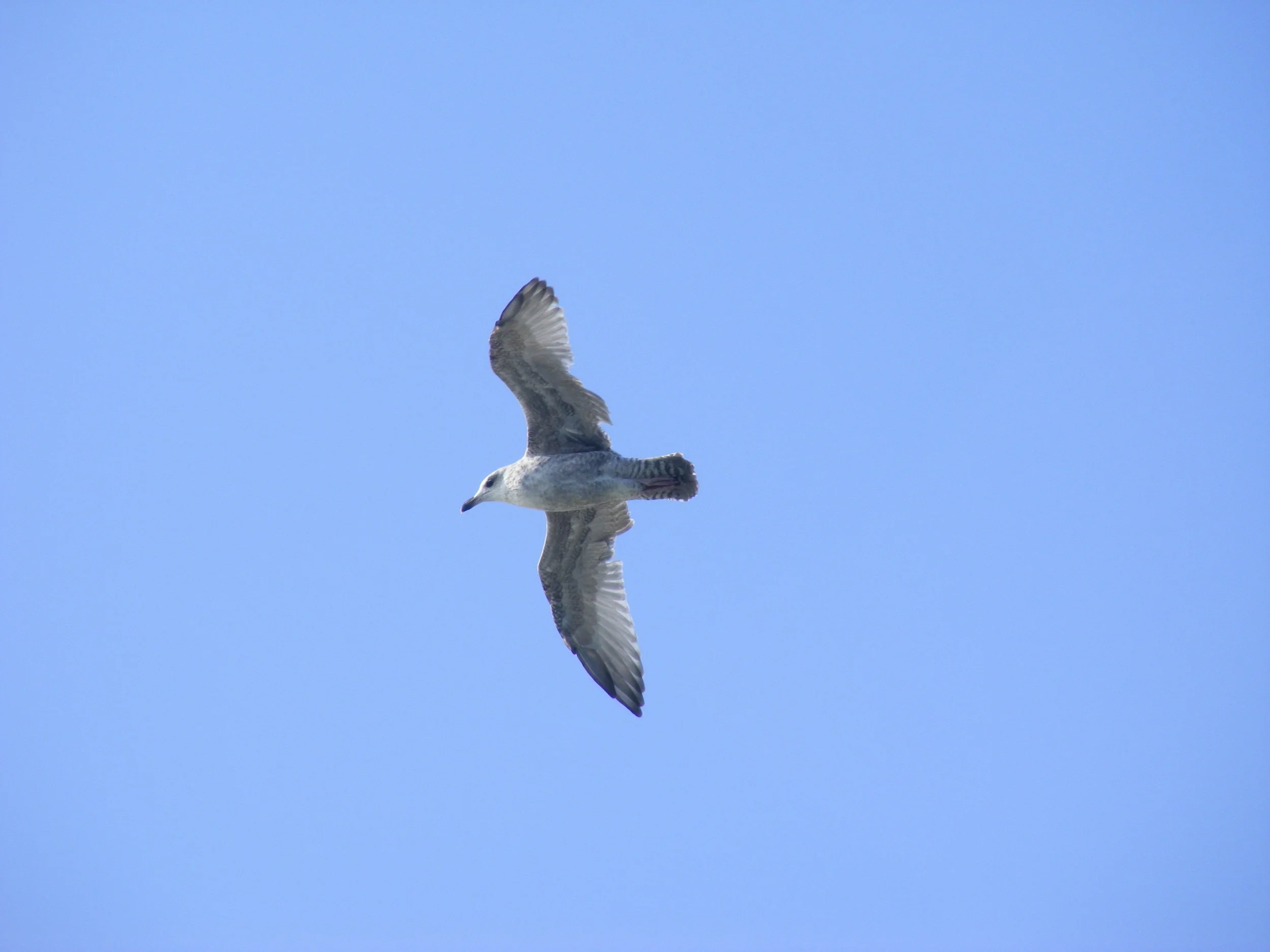 'The Circus is Leaving Town...'