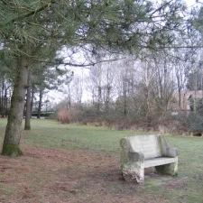 Favourites on Friday - Soothing Pocket of Nature