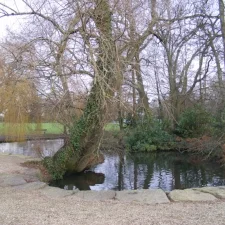 Poole Park in December