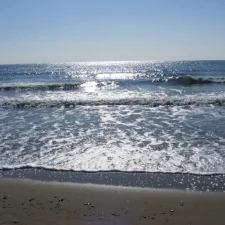 Favourites on Friday - The Sea