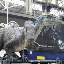 The Surprise, The Wondrous, The Forbidden