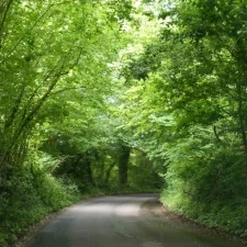 Favourites on Friday - Stable Run II - Late Spring