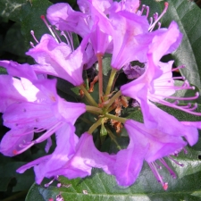 Favourites on Friday - A Walk Around the Neighbourhood