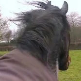 Favourites on Friday - Horsey Reunion