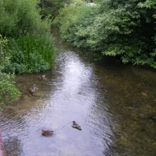 Favourites on Friday - Favourite Moments of the Week