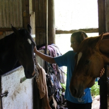 Favourites on Friday - Proud Mummy Moment ... lots of them :)