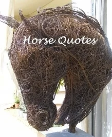 Fantastic Friday - Horse Quotes IV