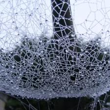 Midweek Tales: About Fog