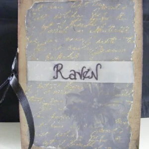 Fantastic Friday: Craft - 'Raven'