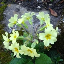 Life's A Funny Thing...