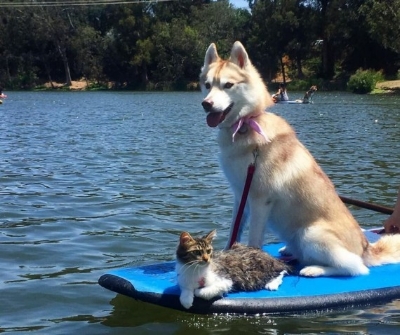 Lilo and Rosie kayaking on the water!