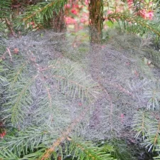 Low Self-Esteem - No Excuse Not To Change