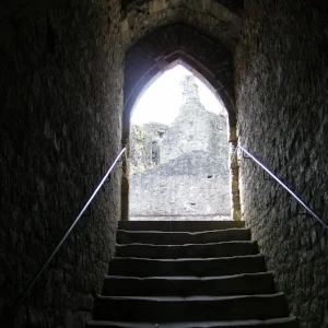 Falling and Rising Again