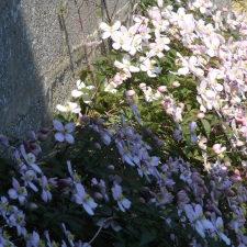 How I Changed My Mindset