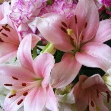 Why Self-Love Matters