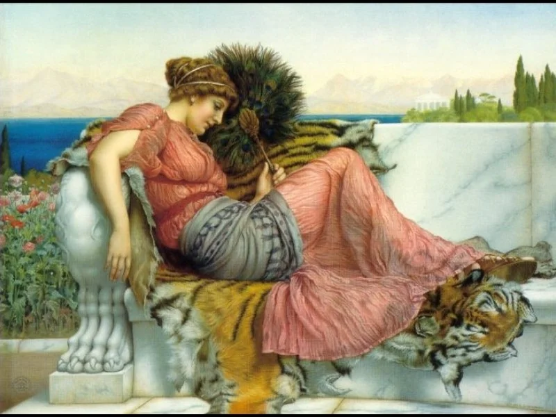'Amaryllis' (1903)