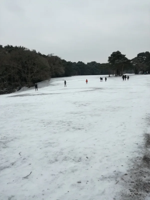 IMG_20180302_113244.jpg
