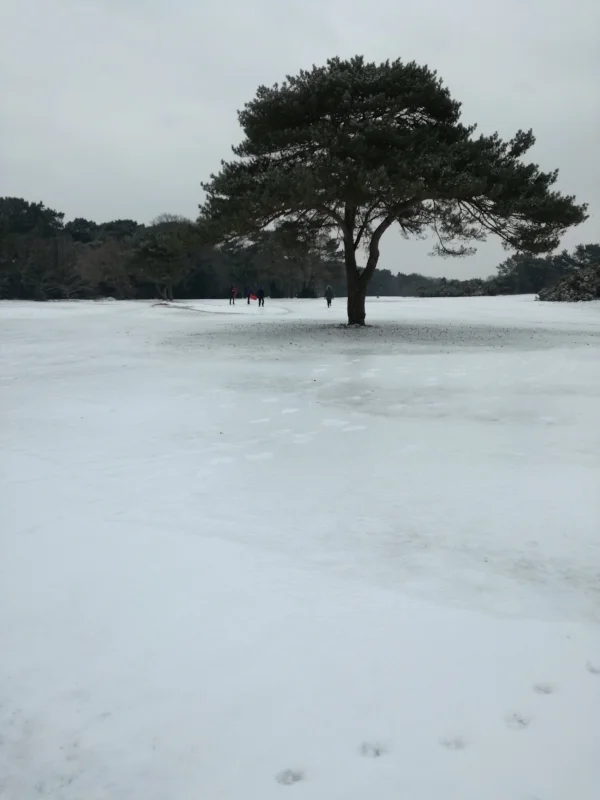 IMG_20180302_113609.jpg