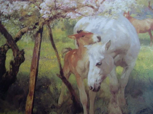 (mare and foal in orchard)