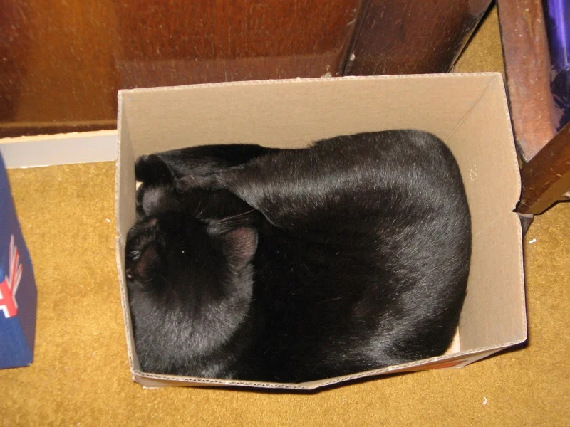 Nurturing his lifelong obsession with boxes
