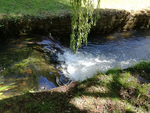 Stream