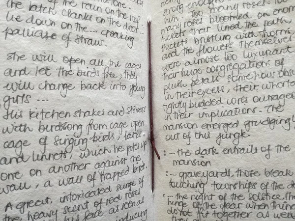 Snippets of ‘genius’ writing from one of my notebooks
