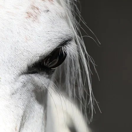 Tuesday's Tales - 'Ghost Horse', a tale of my own