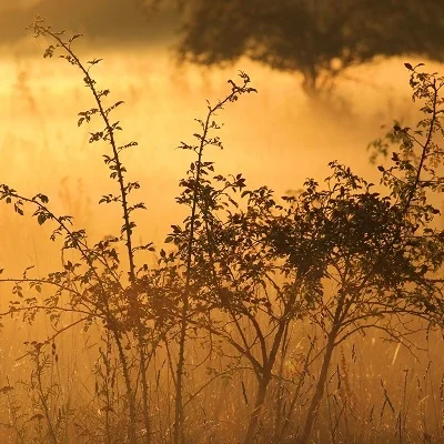 Midweek Writer-Rummage: An Original Story - 'When She Looked Up'