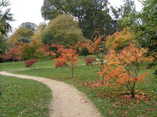 Yet more Autumn colours
