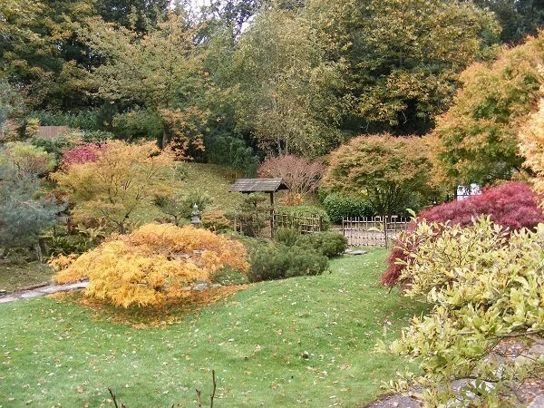Japanese Garden