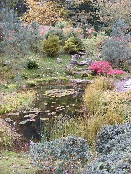 Another part of the Japanese Garden