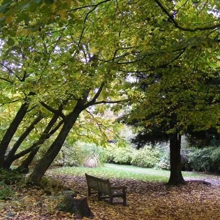 A Selection of my Favourite YouTubers