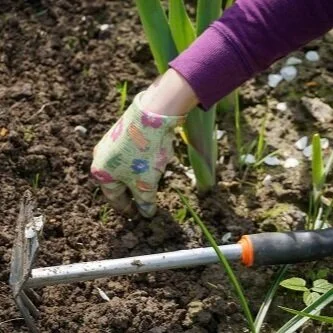 Original Story - 'An Ordinary Ritual Until...'