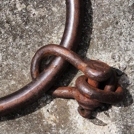 A Brief History of Slavery