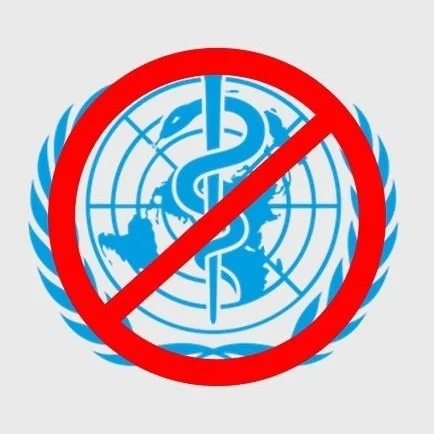 Who Elected the W.H.O.?