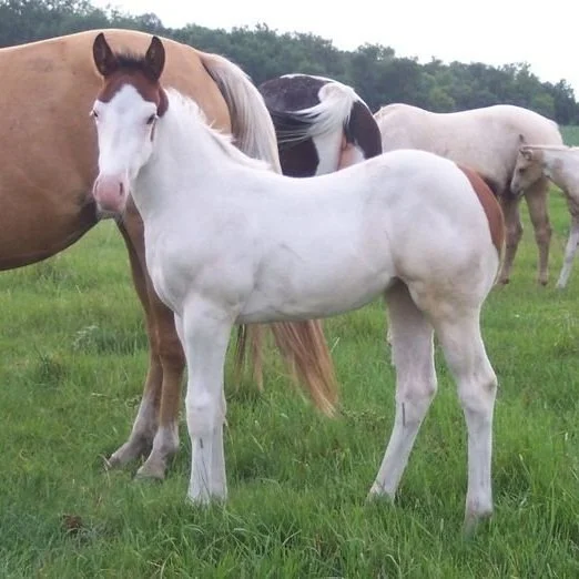 Returning To An Interesting Conundrum...