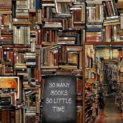 So Many Books, So Little Time