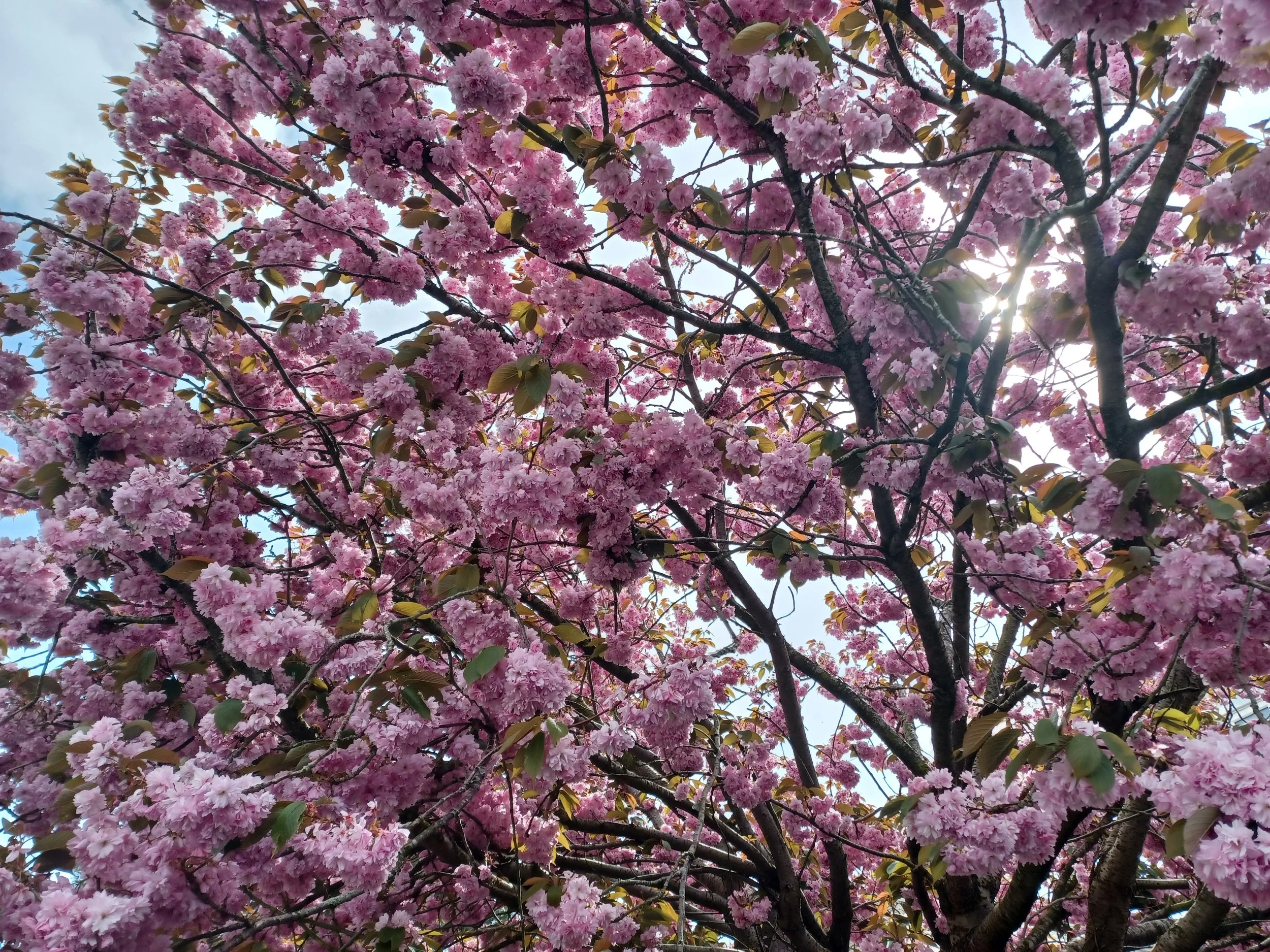 20260416_114050.jpg