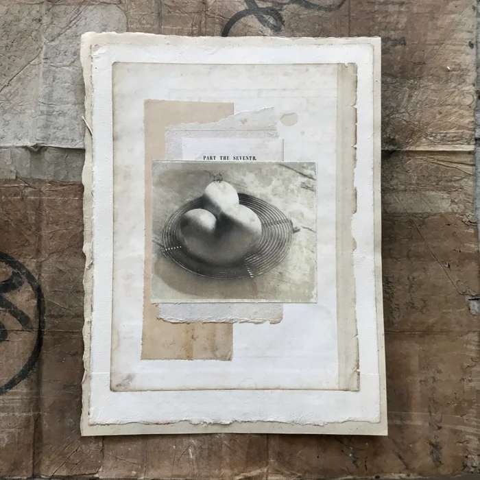 Collager august 2018 - 3 (2 SM).jpg