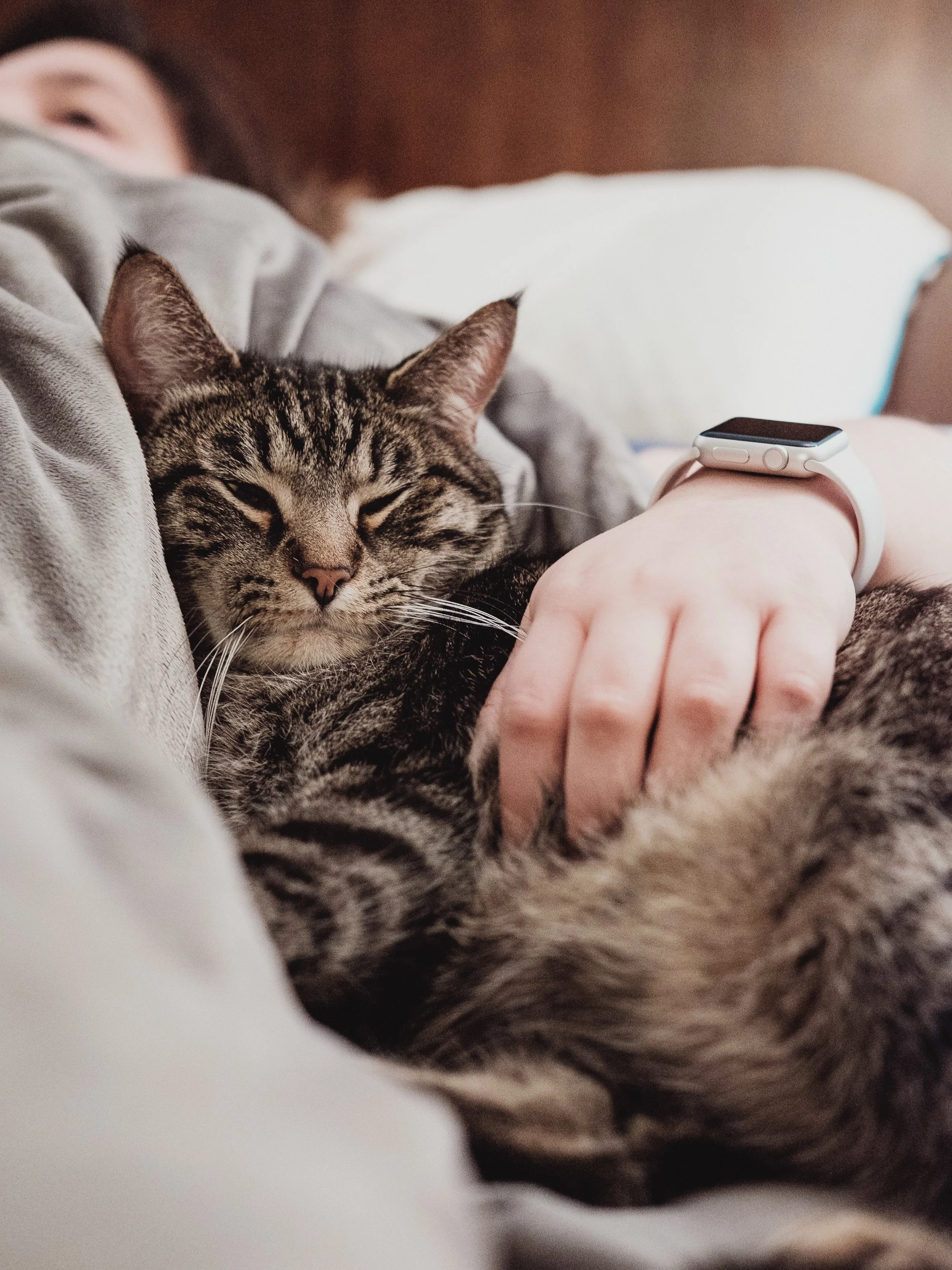 Photo by Chris Abney on Unsplash
