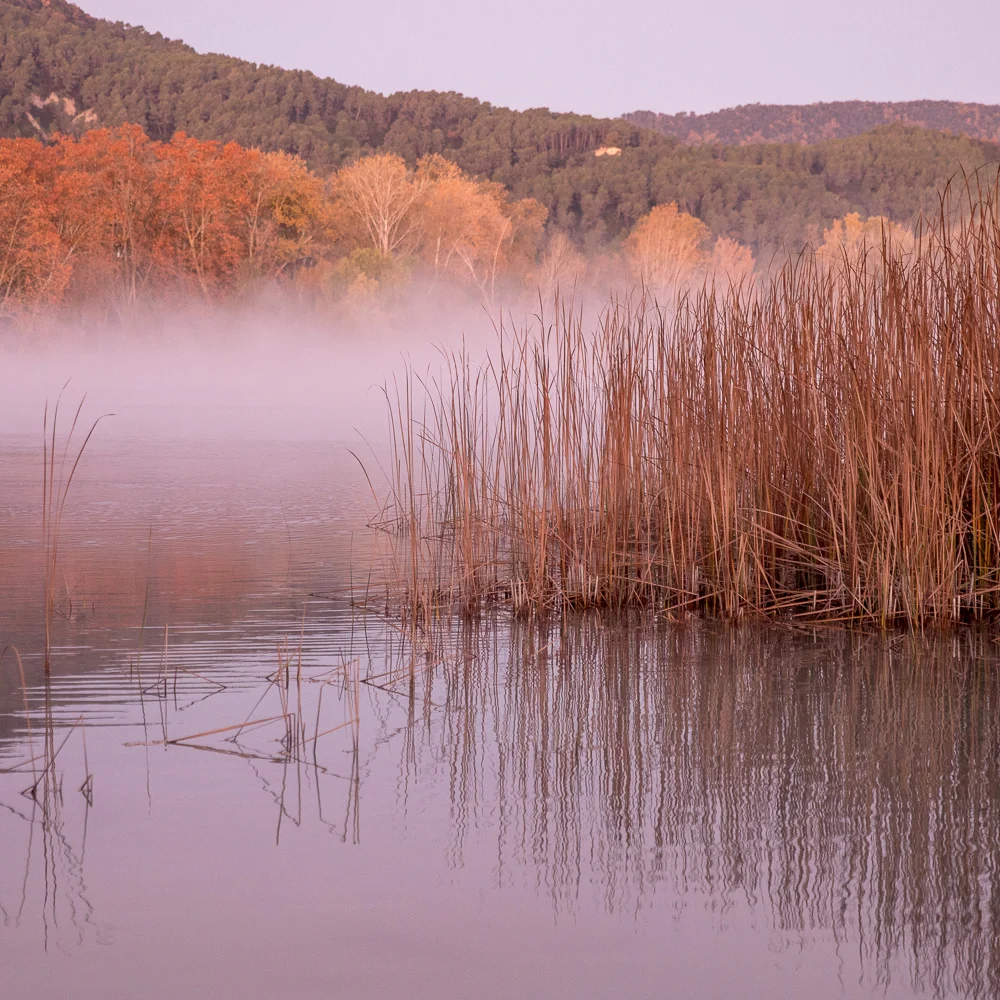 Banyoles-1-5.jpg
