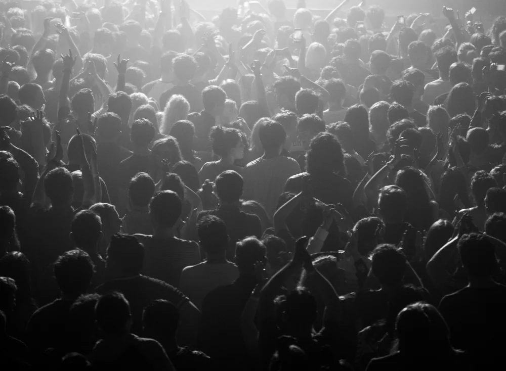 The Audience
