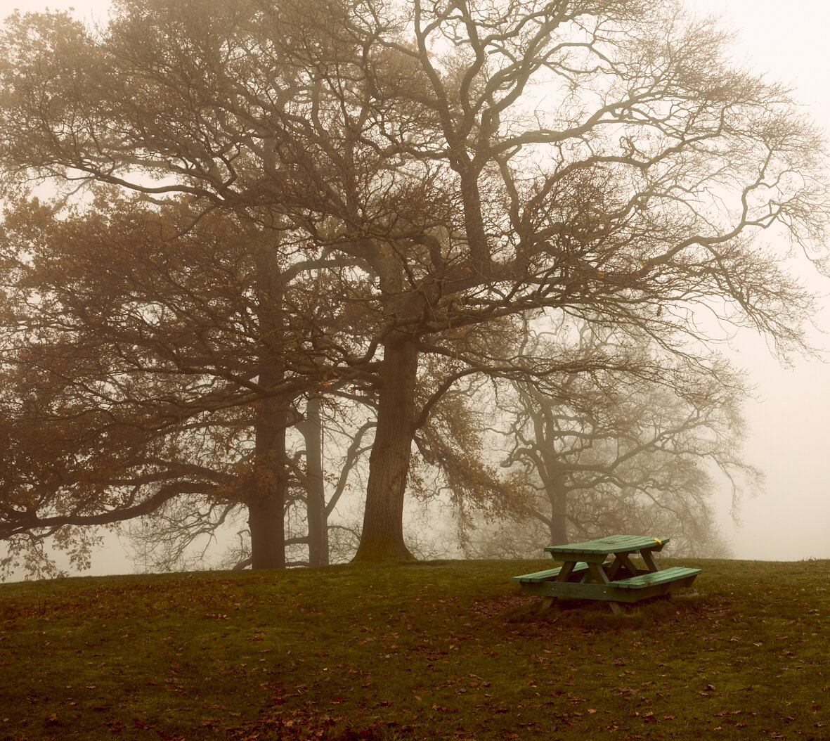 Bench