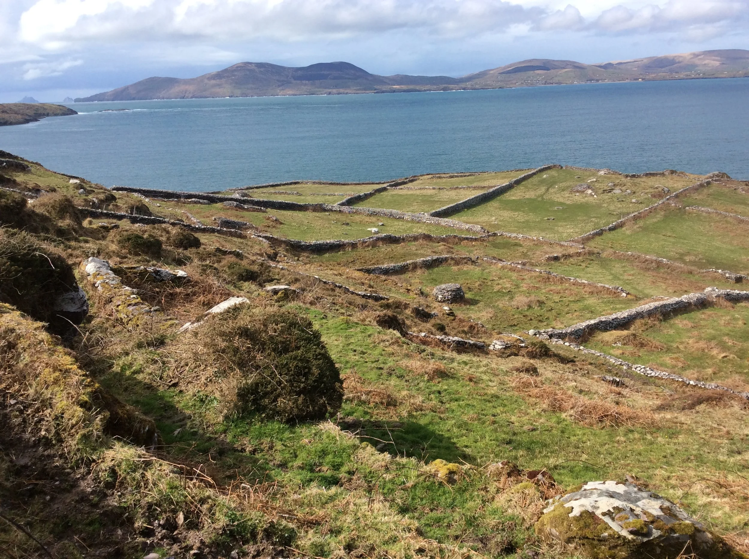 Looking across at Ballinskelligs bay with the Skellig Islands in the distance