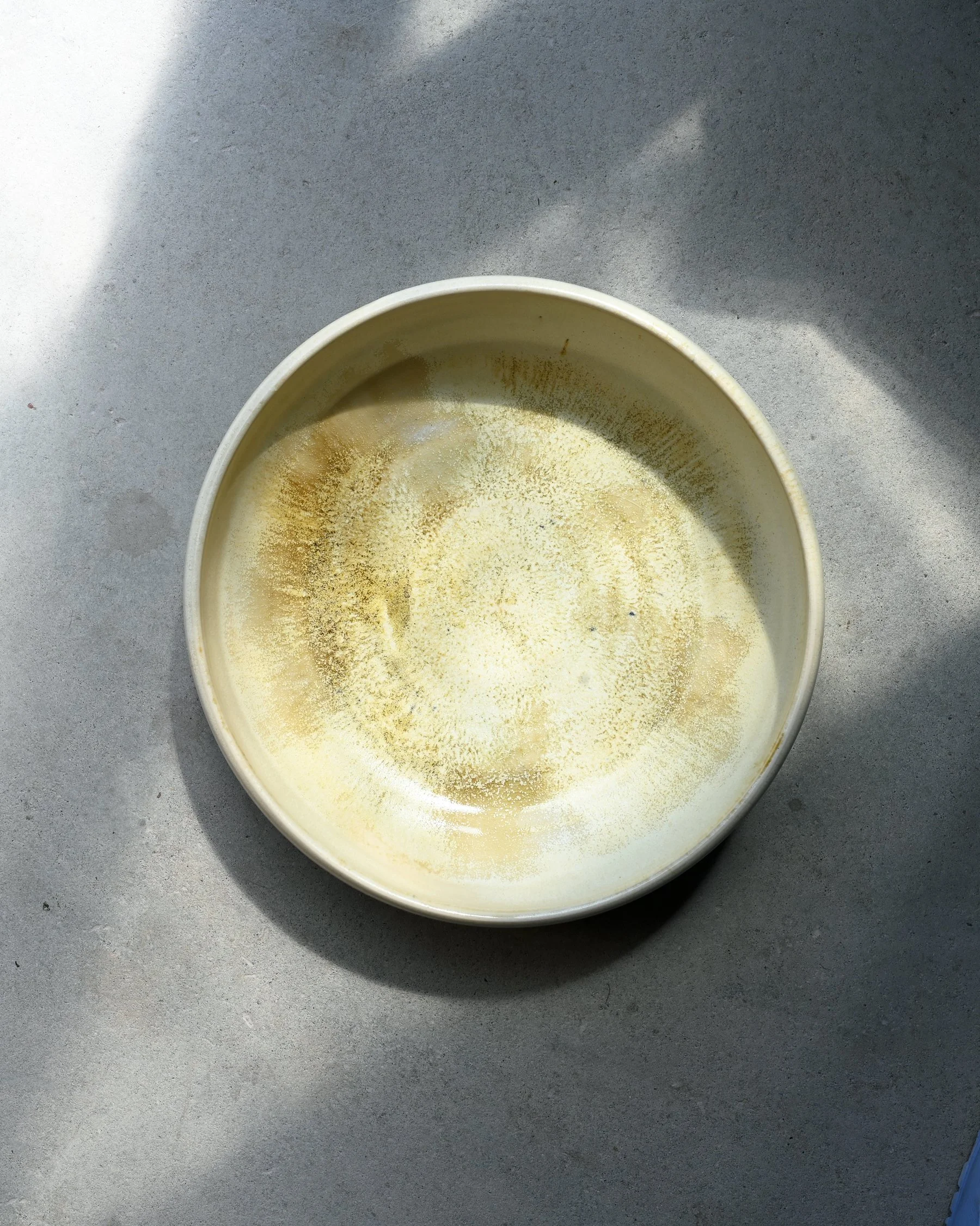DSC_2927.jpg