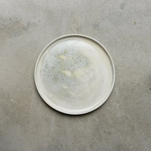 6 Ceramic Dinner Plates