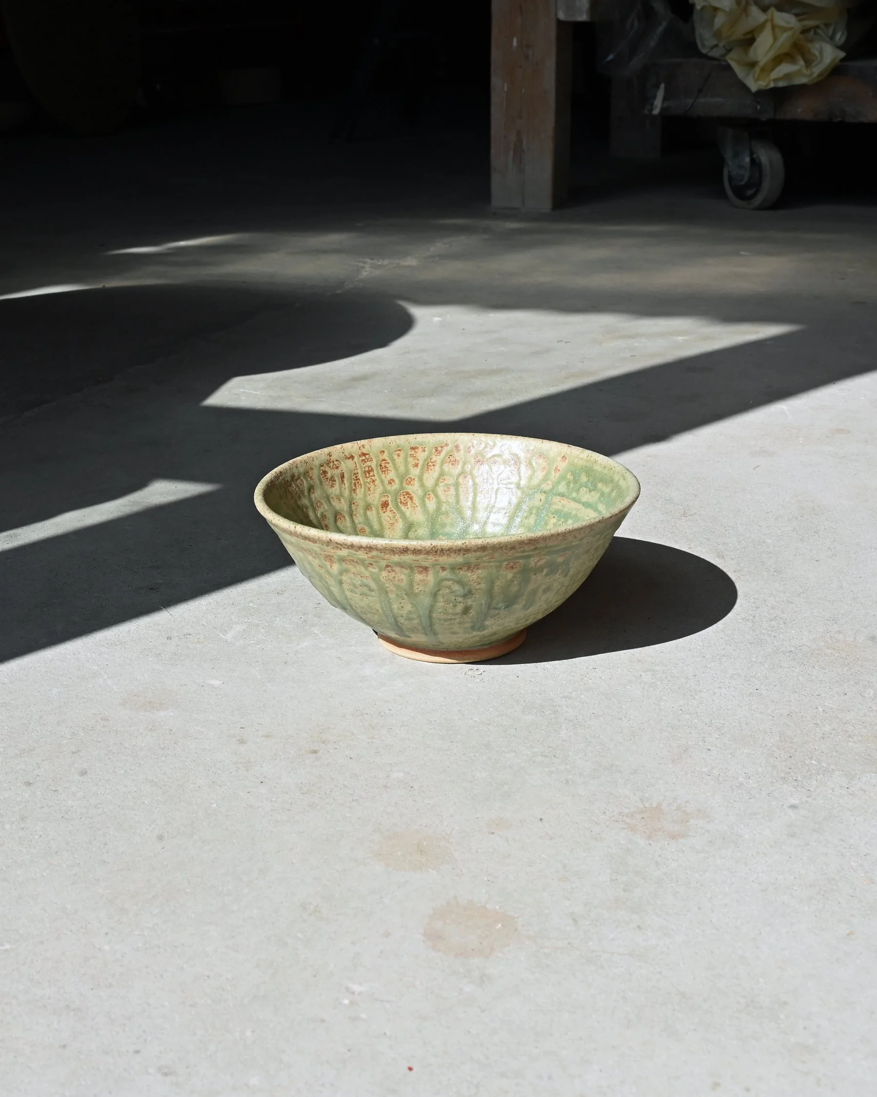 DSC_2578.jpg