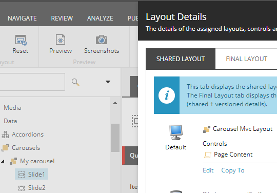 Slide Layout Details.png
