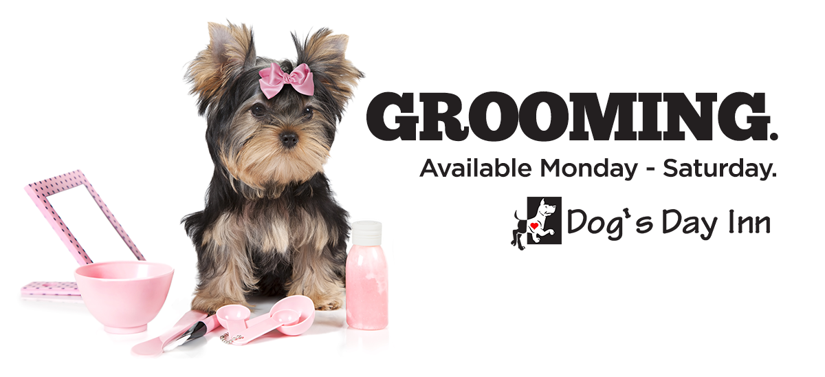 DOG'S DAY INN Dog's Day Inn