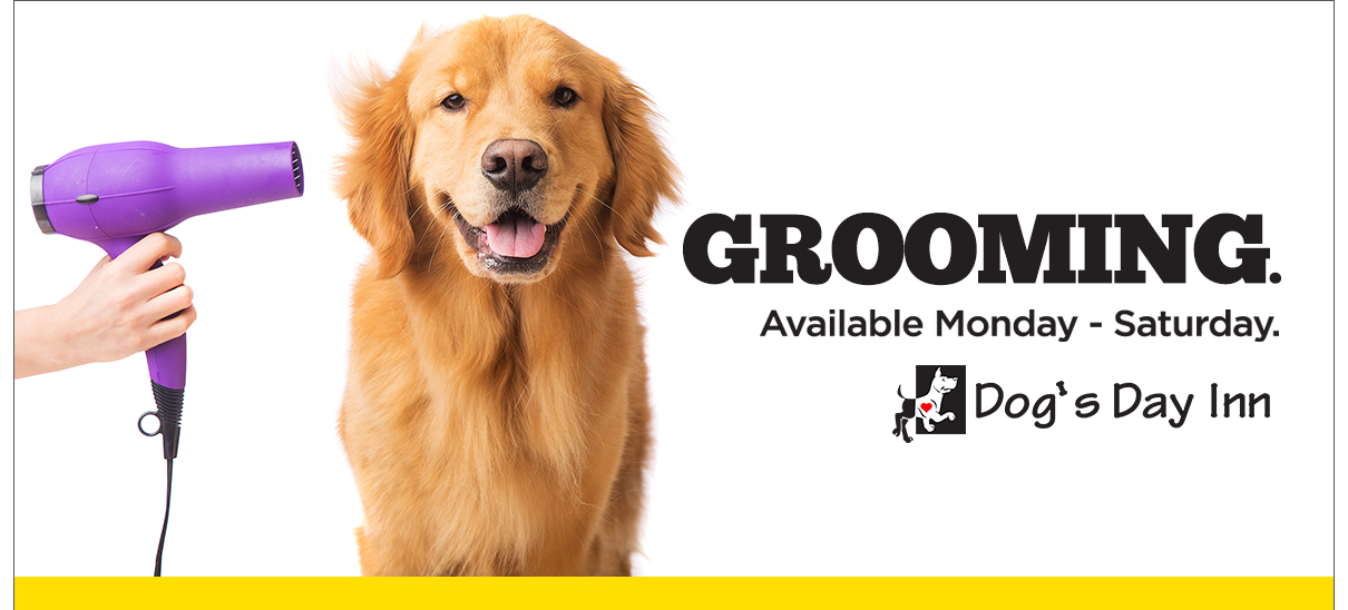 Dogs-Day-Inn-Richmond-Grooming.png